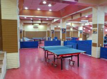 Зал настольного тенниса Conipur HG 2